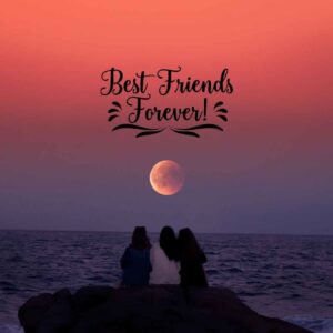 Stylish Friends Forever DP