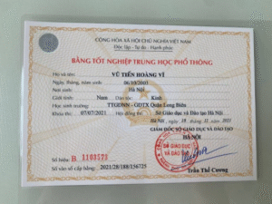 Information for Fake High School